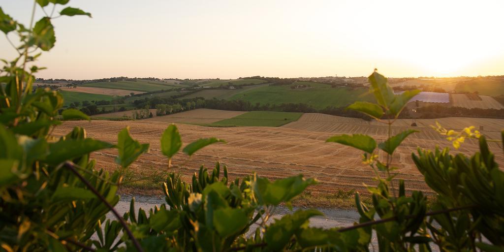 Poggio Antico Apartman Monte San Vito Kültér fotó