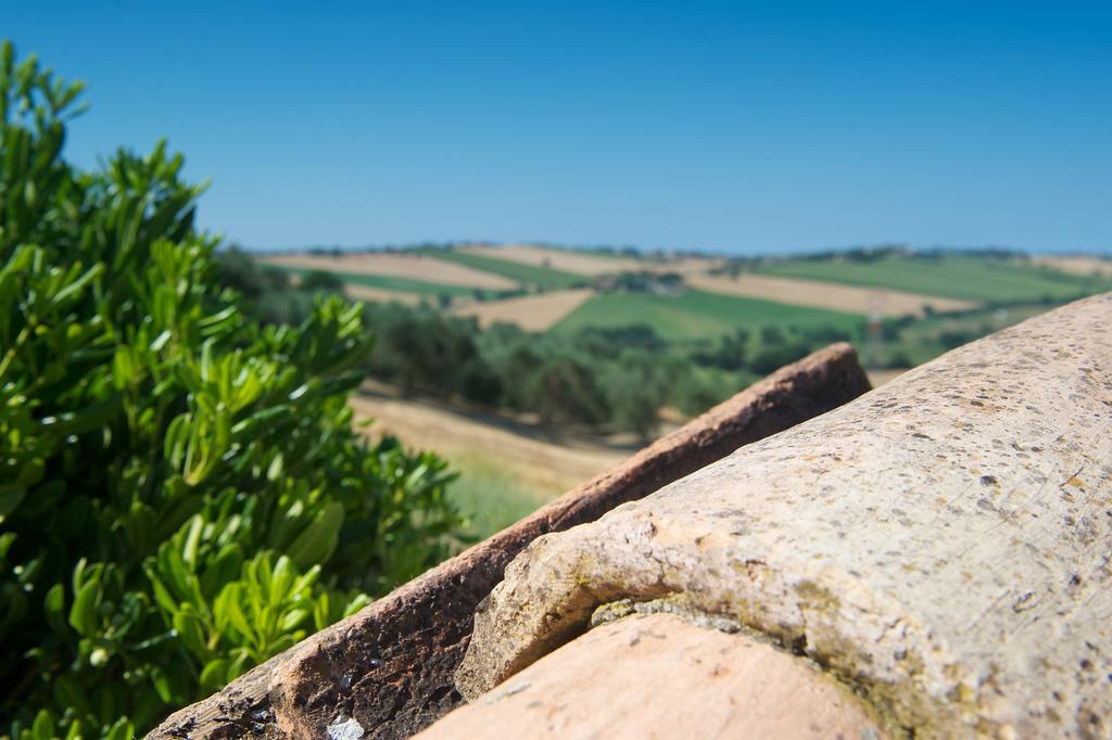 Poggio Antico Apartman Monte San Vito Kültér fotó